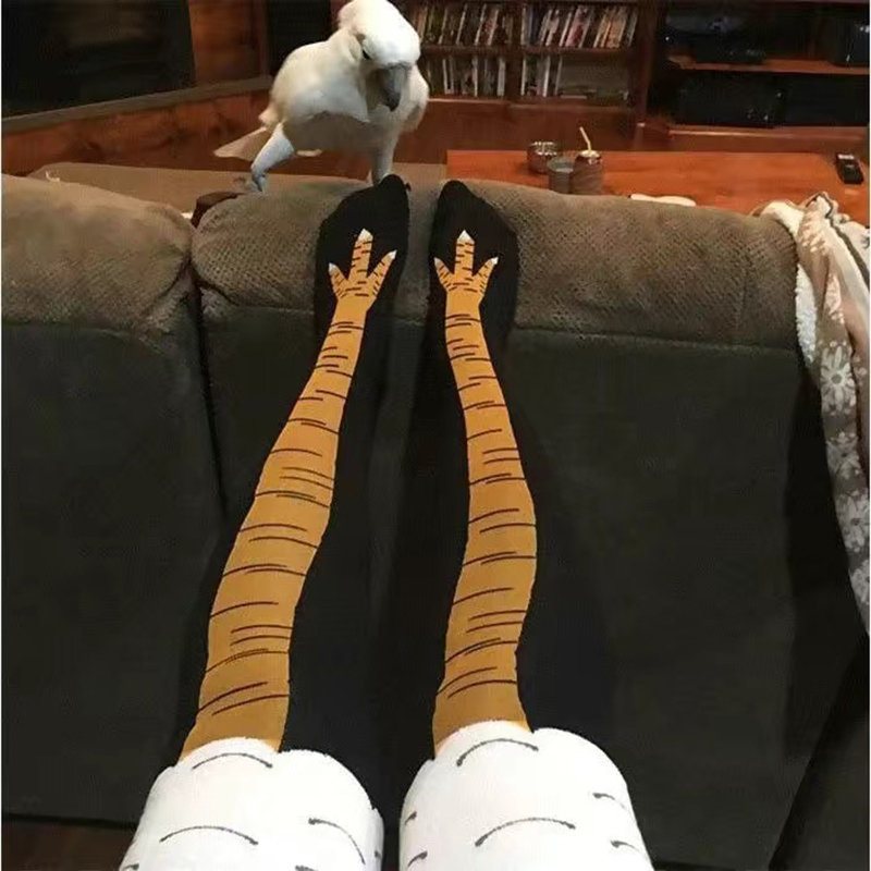 Kadın Tavuk Pençesi Çorapları  - Funny Chicken Leg Socks incelemesi ve fiyatı